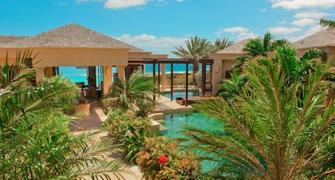 Bird of Paradise - Exclusive Listing