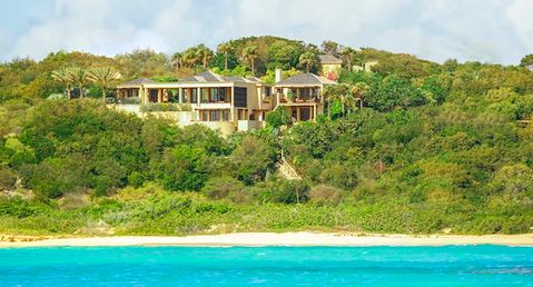 Bird of Paradise - Exclusive Listing