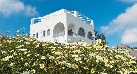 Pygros Estate