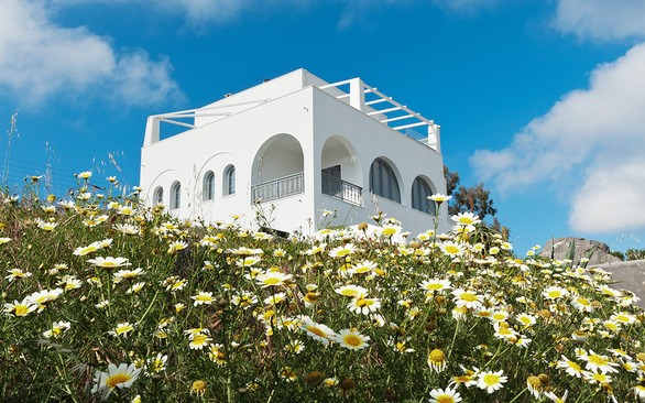 Pygros Estate