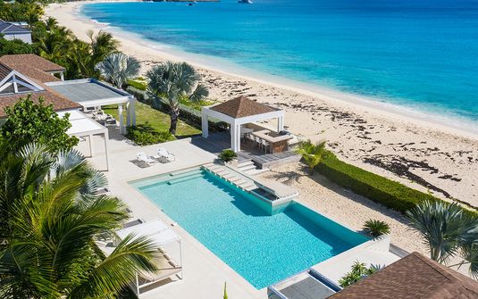 Turtle Nest