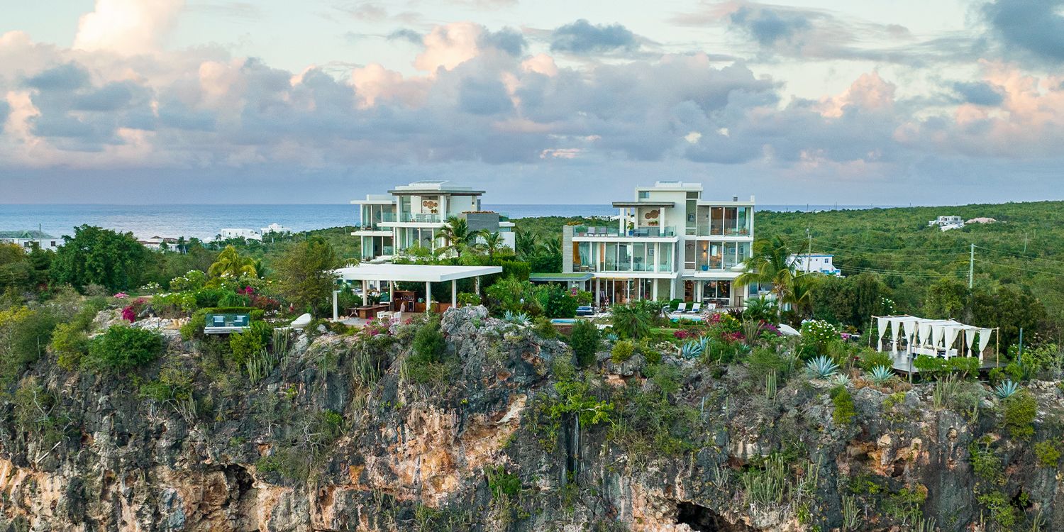 Ani Anguilla