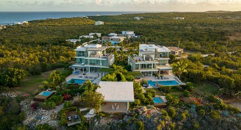 Ani Anguilla