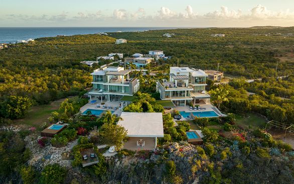 Ani Anguilla