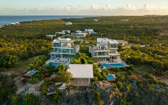 Ani Anguilla