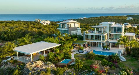 Ani Anguilla