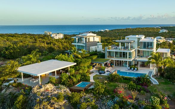 Ani Anguilla
