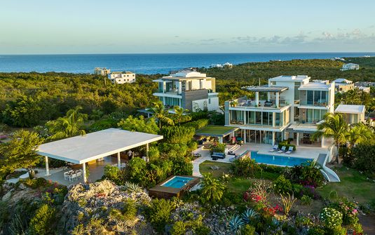 Ani Anguilla