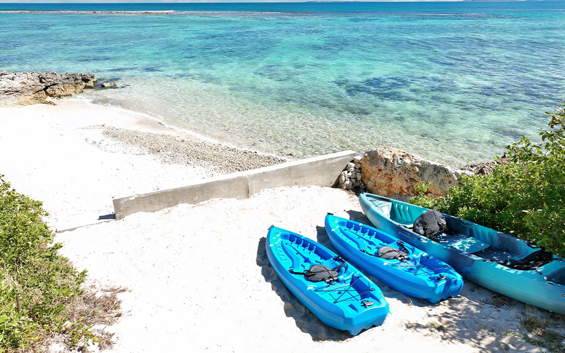 The Sea and the Cove as Part of the Practice