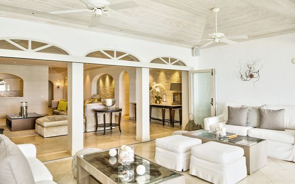 Firefly at Old Trees