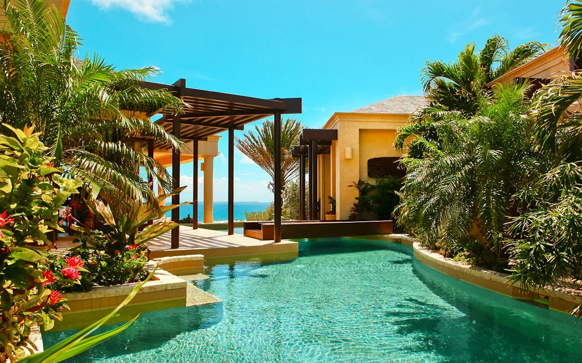 Birds of Paradise Anguilla 