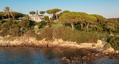 Villa Petra