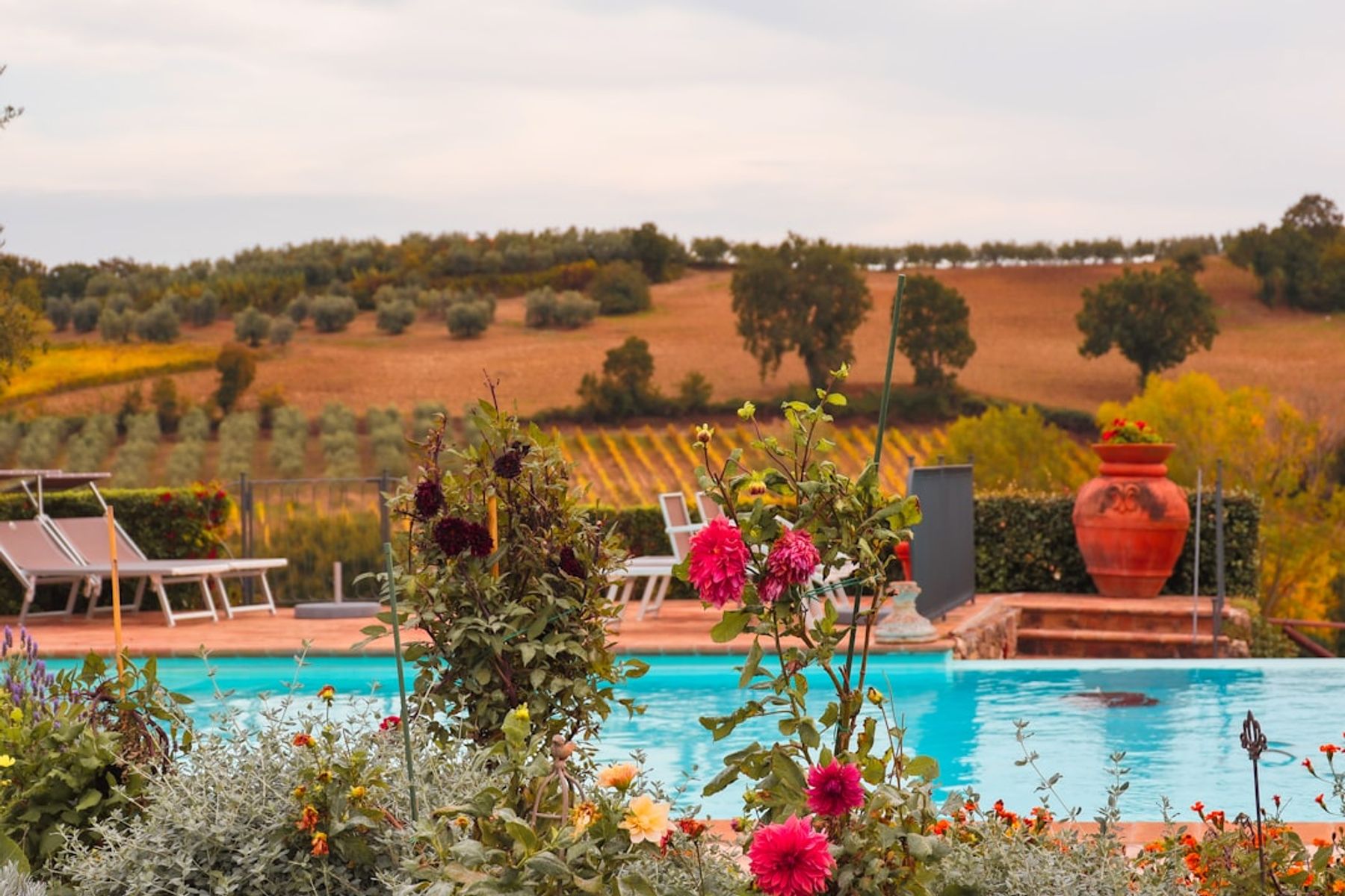 Luxury Villa Poolside View of Tuscan Hillside