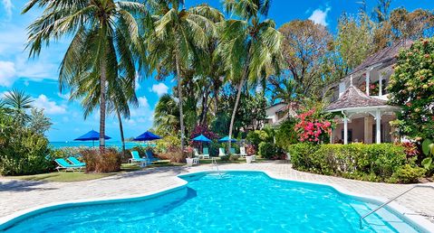 Emerald Beach 2 - Allamanda