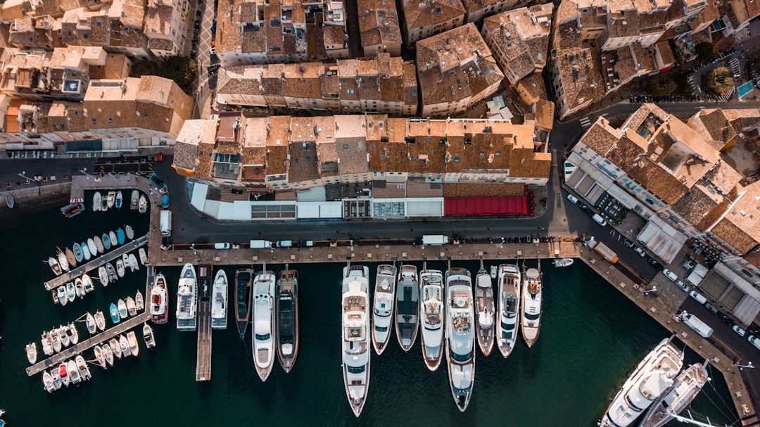 Cannes from above