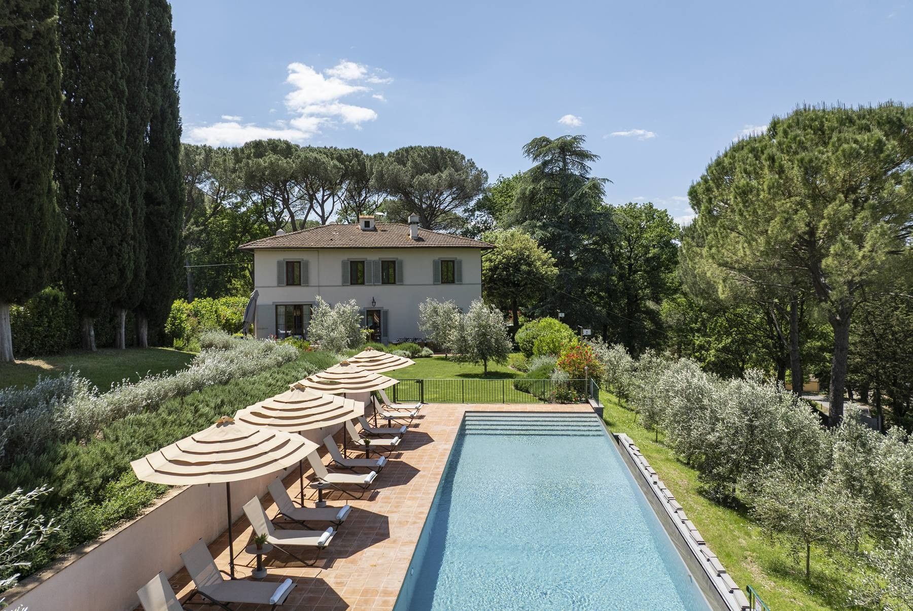 Tenuta di Monteverde