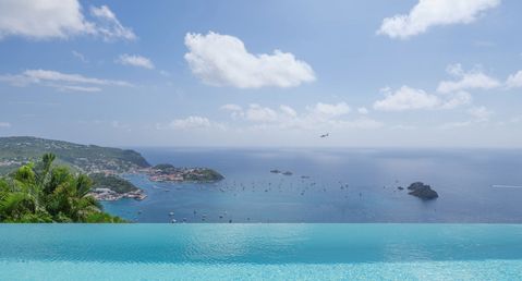 The View