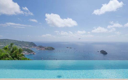 The View