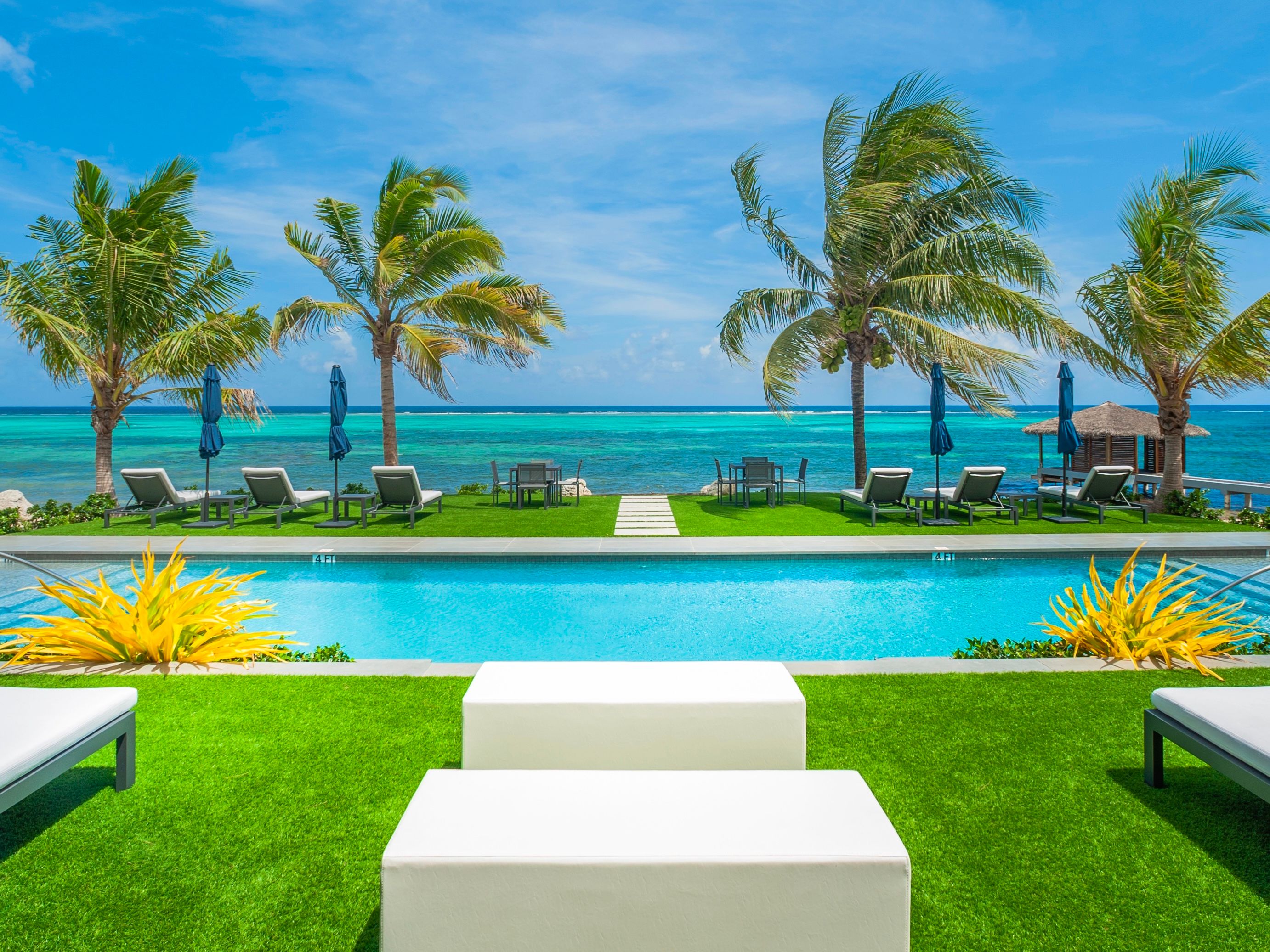 Black Urchin - Coconut Grove Suite