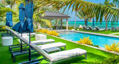 Black Urchin - Coconut Grove Suite