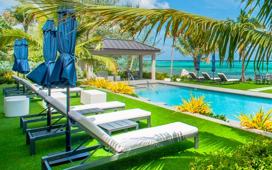 Black Urchin - Coconut Grove Suite