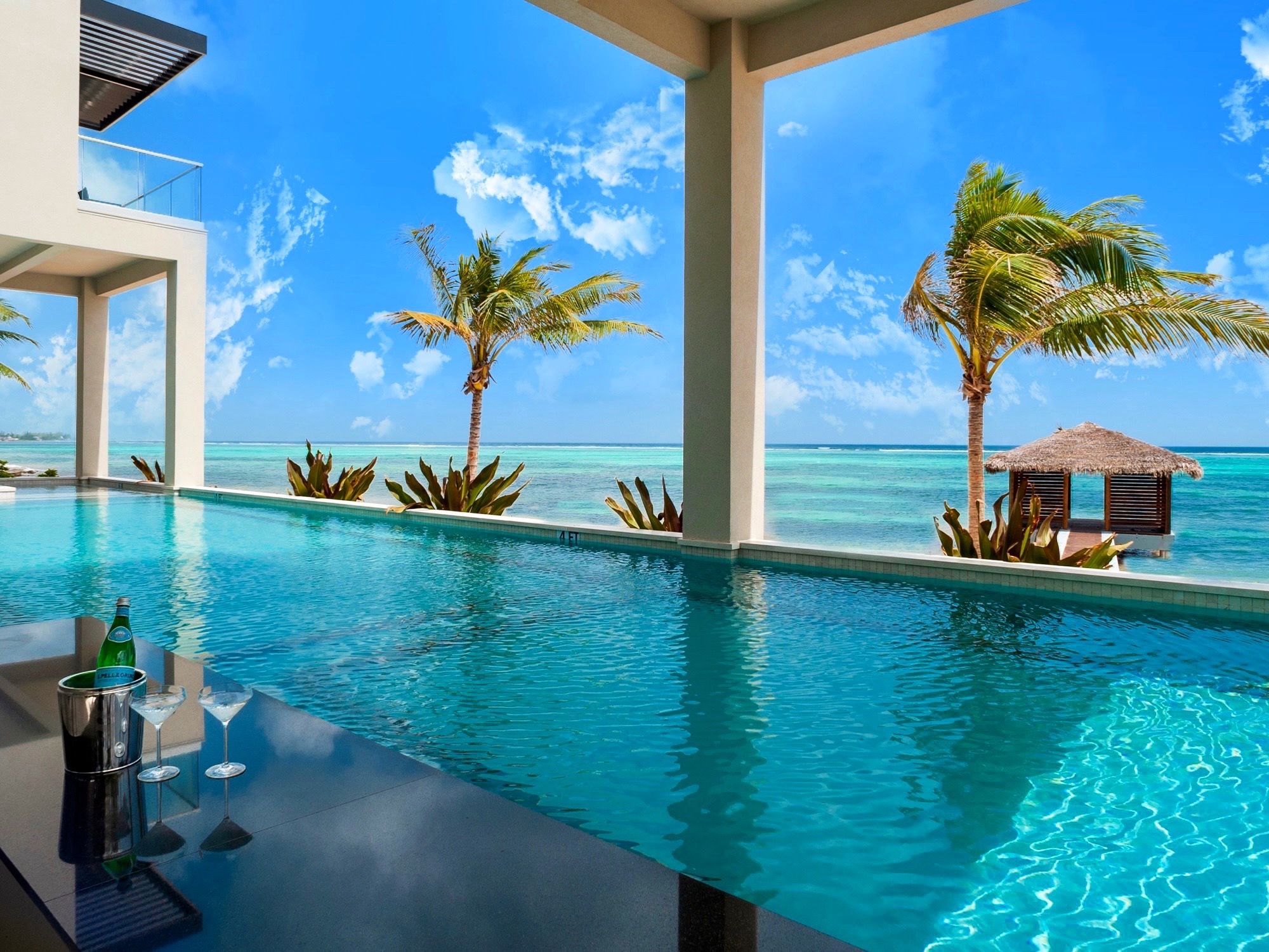 Black Urchin - The Grand Palm Residence