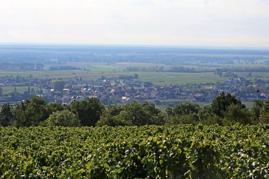 Puligny