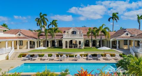 Villa Le Chateau des Palmiers