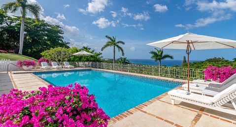 Yellow Bird - The Tryall Club