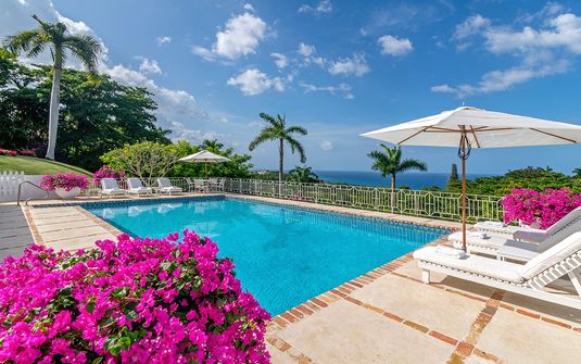 Yellow Bird - The Tryall Club