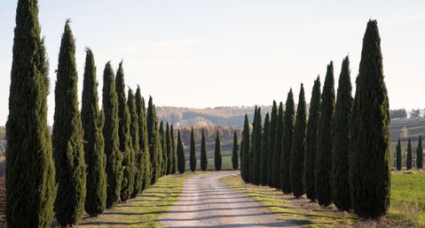 La Villa