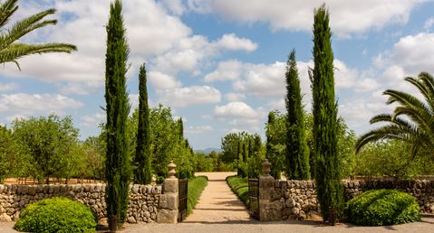 Finca Terra Brava