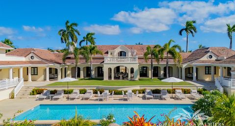 Villa Le Chateau des Palmiers