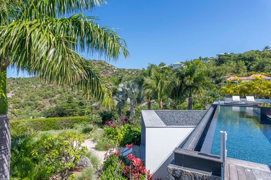 Golden Palm